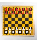 Demonstracijska magnetna šahovska tabla z lesenim okvirjem